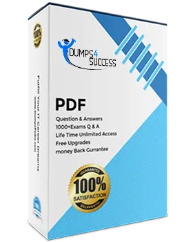 CPA-Auditing PDF